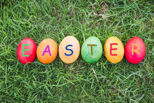 Photo row of colorful easter eggs with daisy on fresh green grass