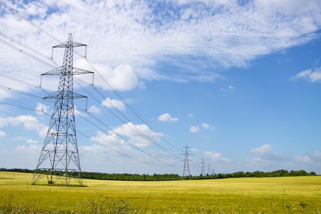 Row of electricity pylons and wires over yellow fields with blue sky