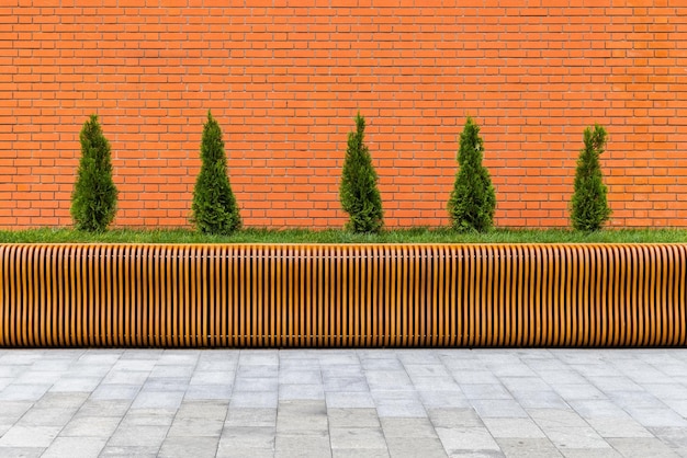 Row of five small conical thuja trees in front of red brick wall and parametric plywood bench