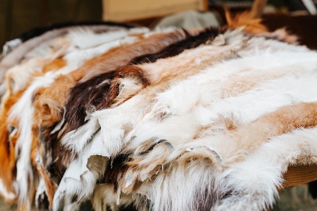 Row of fur skins of wild animals outdoors Selective focus