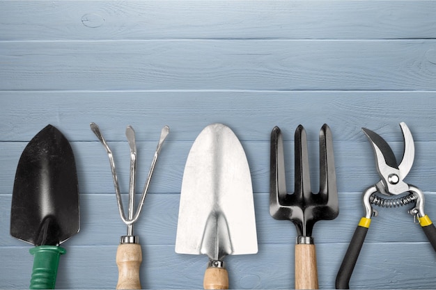 Row of gardening tools on wooden background