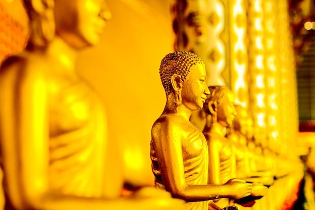 Row of Golden buddha statue in temple