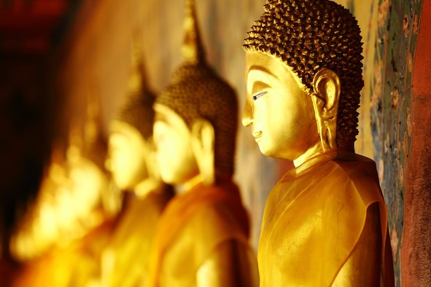 Ряд золотой статуи Будды