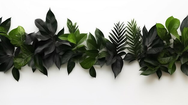 A row of green leaves on a white wall