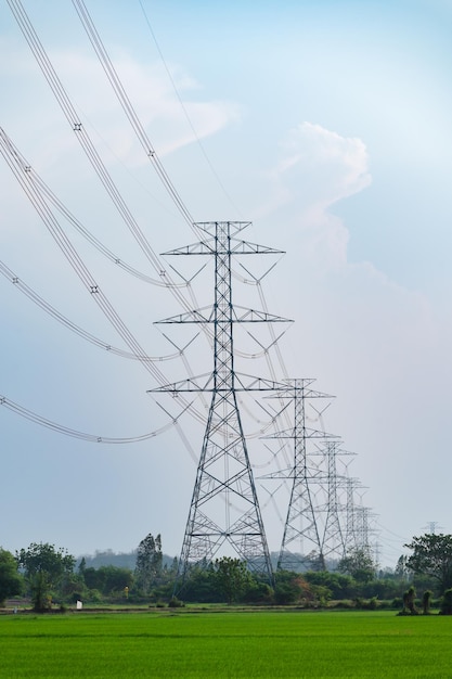 高圧柱の列田園地帯の青空の田んぼにケーブル付き大型送電塔