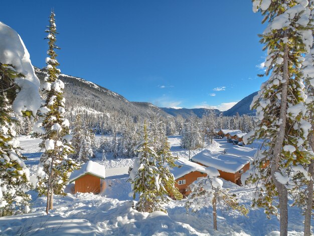 Row of houses in snow in manning park bc