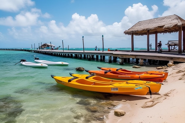 A row of kayaks that are on a beach