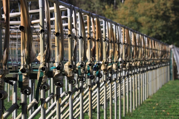 Photo row of metal fence