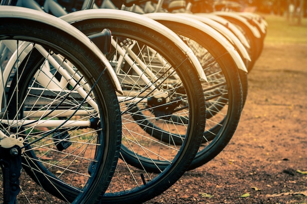 写真 フィールドの自転車の列