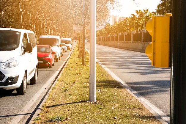 写真 木々や路上の車の行