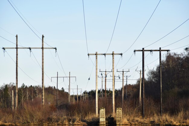 A row of power poles with the word's on the top.