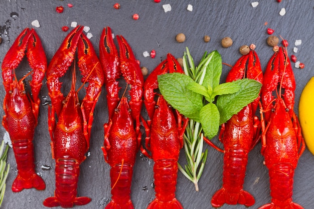 Row of red Crayfish on black board