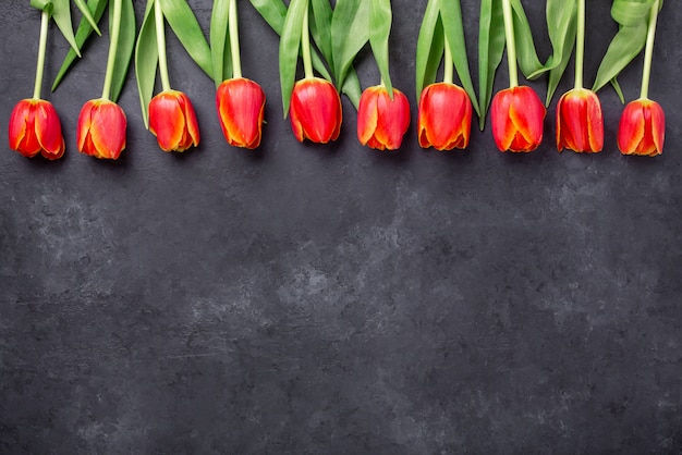 Row of red tulips on dark stone background. Creative flat lay