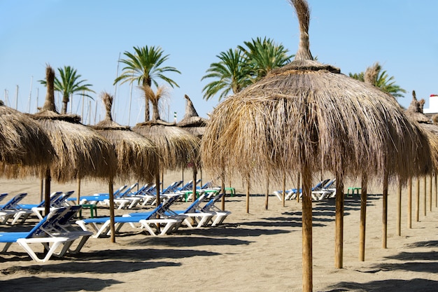 Foto fila degli ombrelli della paglia con i lettini sulla spiaggia a marbella, spagna