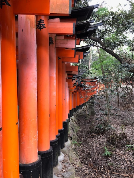 建物に対する寺院の列