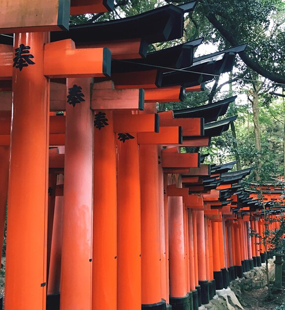 Row of temple against building