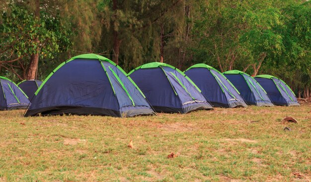 Row of tent for Camping