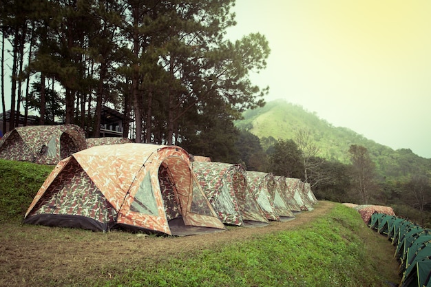 Row of tents for camping in national park