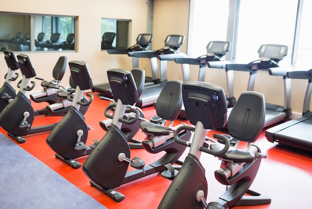 Row of treadmills and exercise bikes