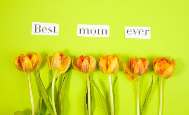 Row of tulips on coloful background with space for message. Mother's Day background. Top view