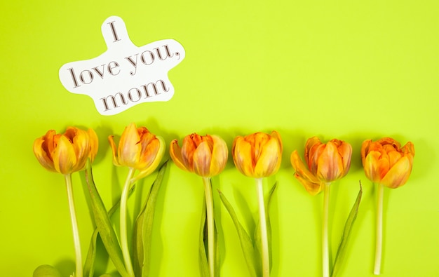 Row of tulips on coloful background with space for message. Mother's Day background. Top view