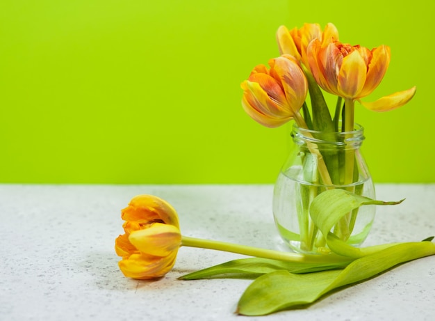 Photo row of tulips in vase on coloful background with space for message. mother's day background.