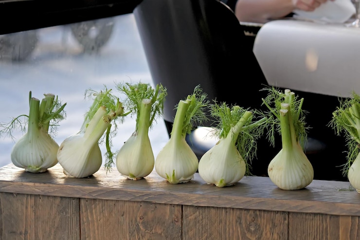 Photo row of vegetables