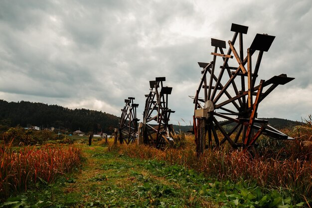 A row of water wheel in a field