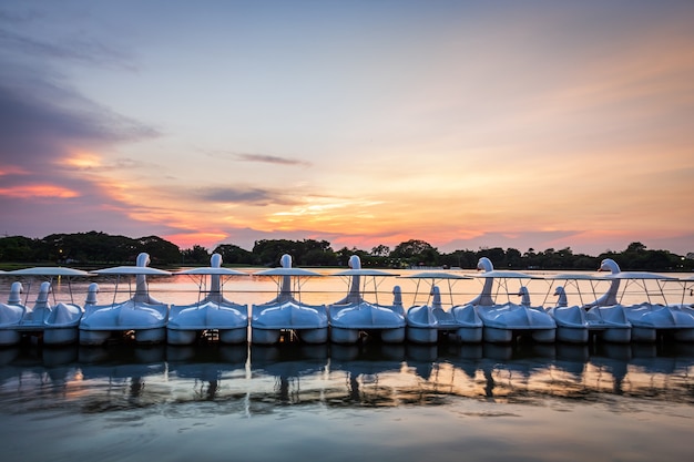 Row of white swan spinning pedal boats