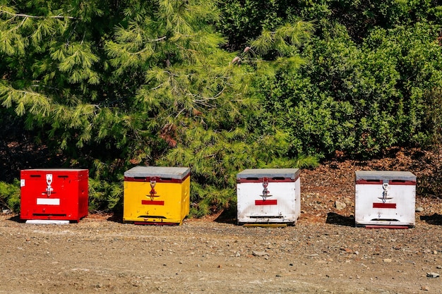 A row of wooden colorful bee hives in summertime in Greece