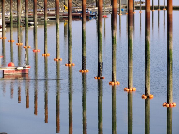 Foto una fila di pali di legno nel canale