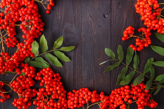 Rowan berries, frame on wooden table, fall concept
