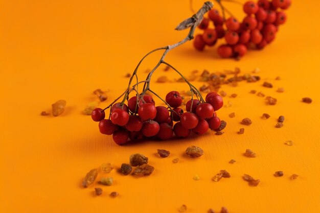 Rowan berries and natural amber