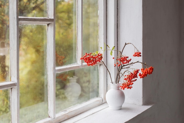 Rowan berries in white vase on old white windowsill