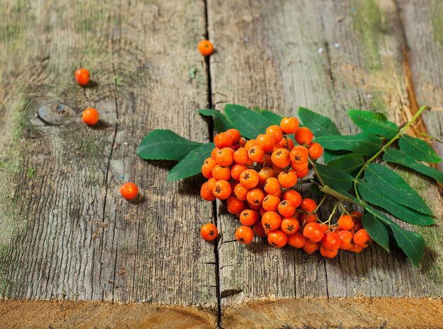 Foto rowan bessen op de vintage tafel natuur