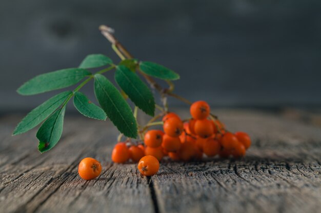 Rowanberry on the wooden table