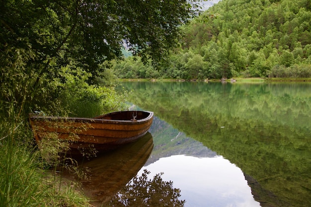 rowboat moored at riverbank in forest