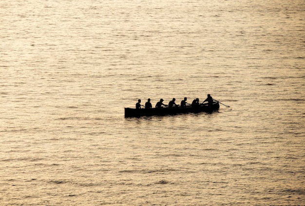 Rematori in formazione di pescherecci in mare