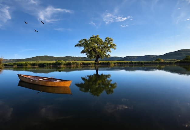 Rowing boat on a calm lake in the summer