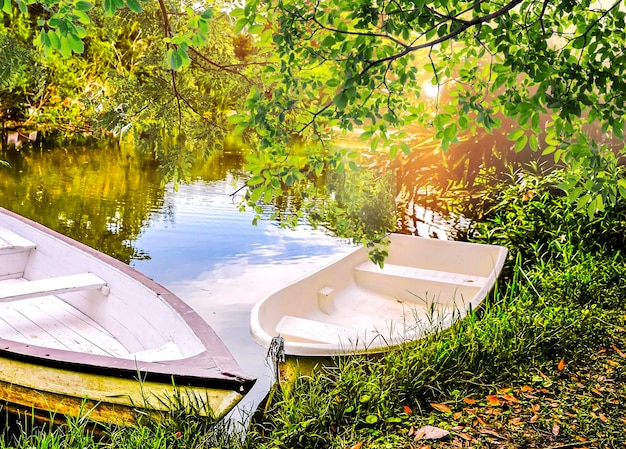 Rowing boat on lake on a calm lake vacation concept background