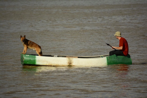 川の端に犬を乗せて漕ぐボート漕ぐカヌー