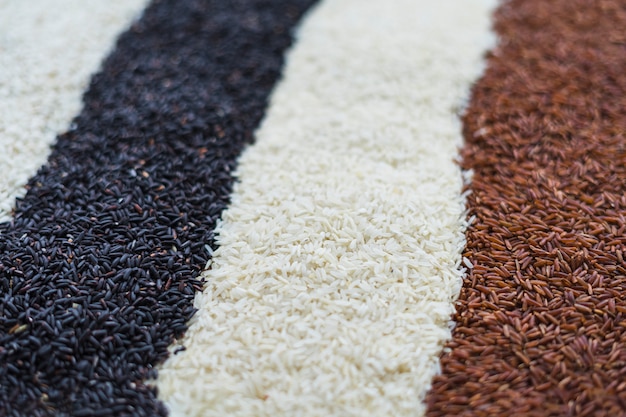 Photo rows of black; white and red rice background