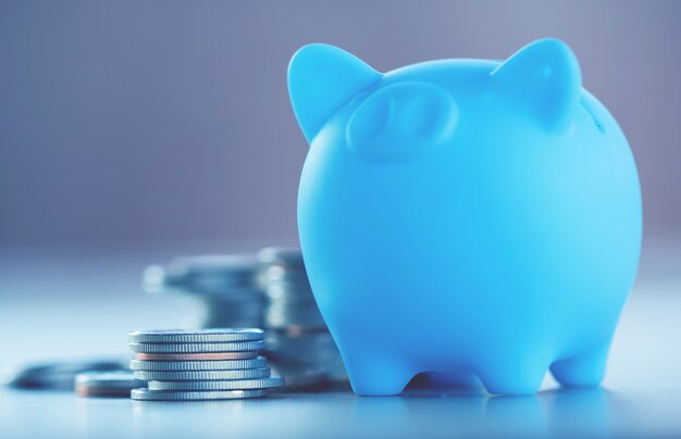 Rows of coins on the table for finance and Saving 