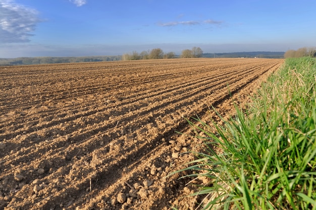 Rows in a field