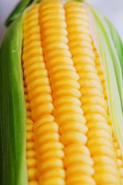 rows of fresh and ripe yellow corn kernels