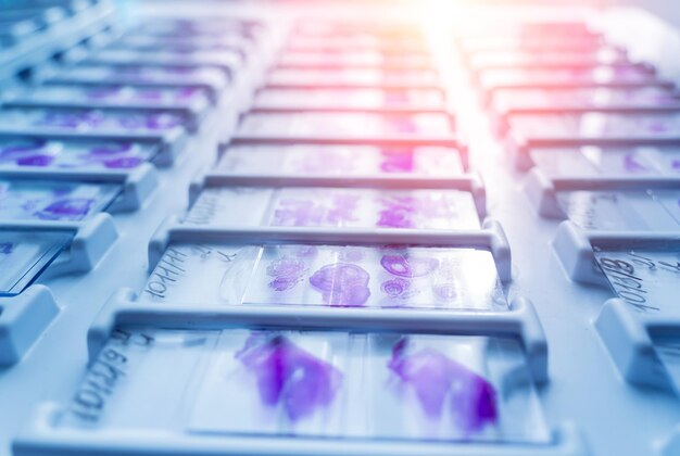 Rows of microscope glass slide in the cells