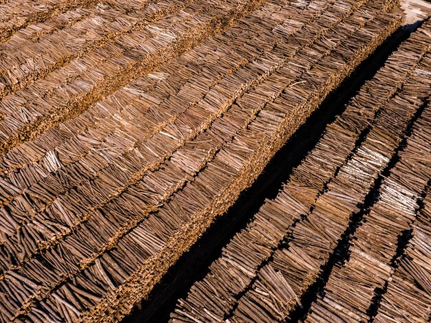 Rows of piled of logs waiting to be processed Log spruce trunks pile Sawn trees from the forest Logging timber wood industry wood in stock