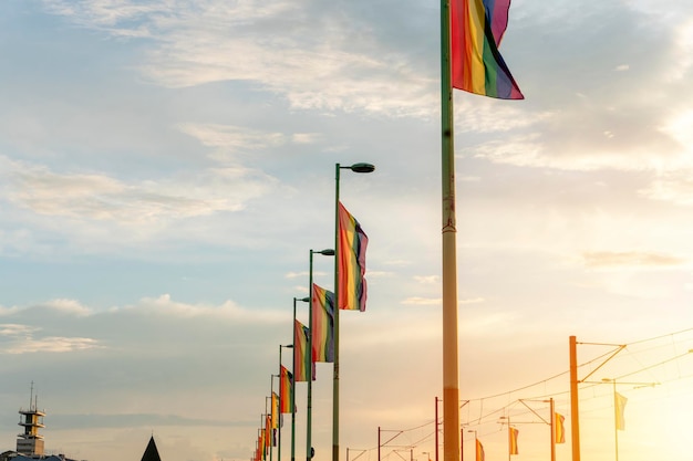 Rows of rainbow flags on the Bridge over river at sunset