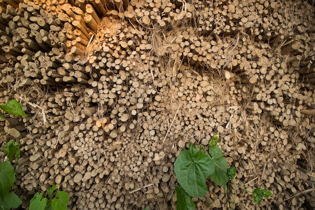 Rows and Rows of brown Jute Sticks Texture background of a field