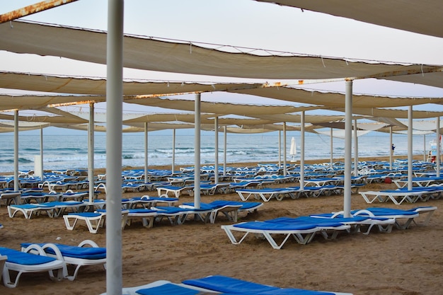 Rows of sunbeds on  beach without people in  early morning.